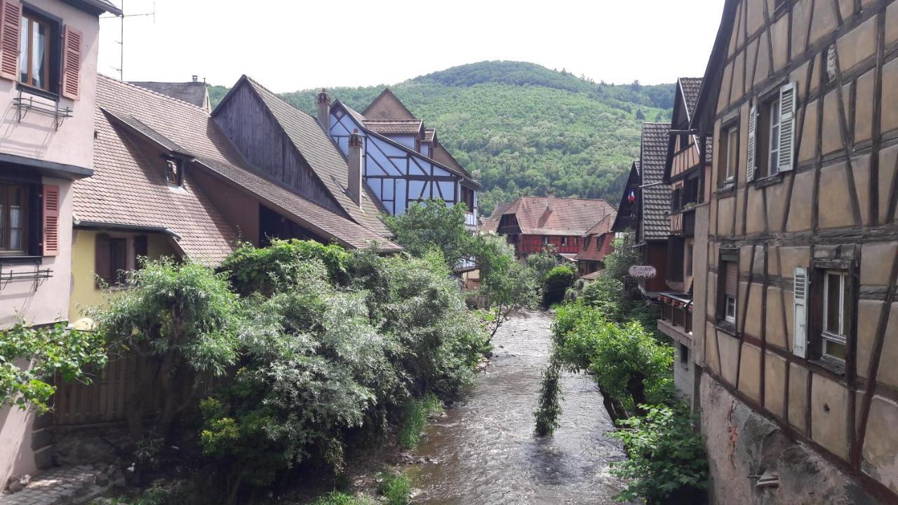 Gîtes individuels à Kaysersberg Esterno foto